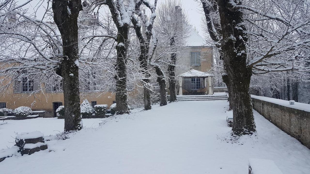 Chateau De Mauvilly Bed & Breakfast Exterior photo